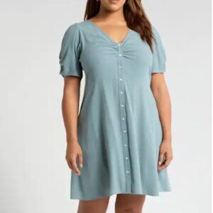 Madewell V-Neck Button Front Mini Dress (Plus)